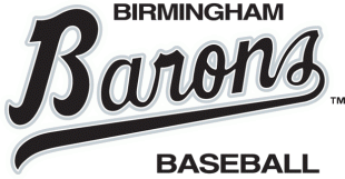 Birmingham Barons 1993-2007 Primary Logo Print Decal