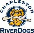 Charleston Riverdogs 2011-2015 Primary Logo Print Decal
