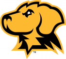 UMBC Retrievers 2010-Pres Alternate Logo 03 Iron On Transfer