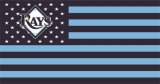 Tampa Bay Rays Flag001 logo Print Decal