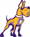 Albany Great Danes 2008-Pres Alternate Logo 02 Print Decal