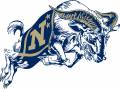 Navy Midshipmen 1998-Pres Secondary Logo 02 Print Decal