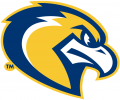 Marquette Golden Eagles 2005-Pres Alternate Logo 01 Print Decal