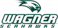 Wagner Seahawks 2008-Pres Primary Logo Print Decal