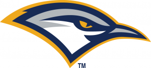 Chattanooga Mocs 2013-Pres Secondary Logo Print Decal