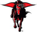Texas Tech Red Raiders 2000-Pres Alternate Logo Print Decal