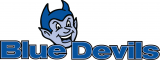 Central Connecticut Blue Devils 1994-2010 Alternate Logo Iron On Transfer