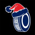 tampa bay lightning Hockey ball Christmas hat logo Print Decal