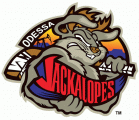 Odessa Jackalopes 2011 12-Pres Primary Logo Iron On Transfer