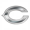 Chicago Bears Silver Logo Print Decal