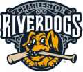 Charleston Riverdogs 2016-Pres Primary Logo Iron On Transfer