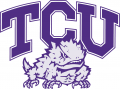 TCU Horned Frogs 1995-Pres Alternate Logo 02 Iron On Transfer