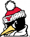 Youngstown State Penguins 1993-Pres Alternate Logo 04 Iron On Transfer