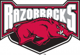 Arkansas Razorbacks 2001-2008 Alternate Logo 02 Print Decal