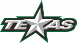 Texas Stars 2015 16-Pres Primary Logo Print Decal