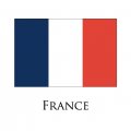 France flag logo Iron On Transfer