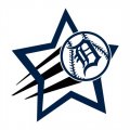 Detroit Tigers Baseball Goal Star logo Print Decal
