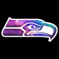 Galaxy Seattle Seahawks Logo Iron On Transfer