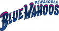 Pensacola Blue Wahoos 2012-Pres Wordmark Logo Print Decal