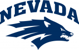 Nevada Wolf Pack 2008-Pres Primary Logo Print Decal