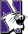 Northwestern Wildcats 1981-2011 Primary Logo 01 Print Decal