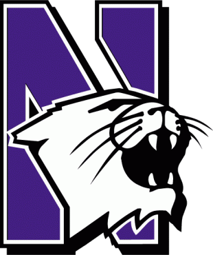 Northwestern Wildcats 1981-2011 Primary Logo 01 Iron On Transfer