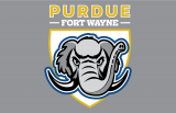 Purdue Fort Wayne Mastodons 2018-Pres Primary Dark Logo Iron On Transfer