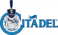 The Citadel Bulldogs 2000-Pres Primary Logo Iron On Transfer