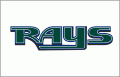 Tampa Bay Rays 2001-2004 Jersey Logo 01 Iron On Transfer