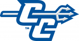 Central Connecticut Blue Devils 2011-Pres Alternate Logo 03 Iron On Transfer