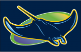 Tampa Bay Rays 2018-Pres Cap Logo Iron On Transfer