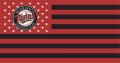 Minnesota Twins Flag001 logo Print Decal