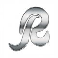Washington Redskins Silver Logo Print Decal