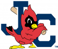 Johnson City Cardinals 1995-Pres Secondary Logo Print Decal