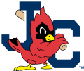 Johnson City Cardinals 1995-Pres Secondary Logo Iron On Transfer