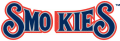 Tennessee Smokies 2000-2014 Wordmark Logo Print Decal