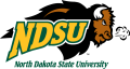 North Dakota State Bison 2005-2011 Secondary Logo 01 Print Decal