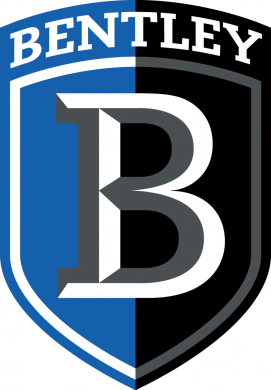 Bentley Falcons 2013-Pres Secondary Logo Iron On Transfer