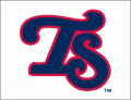 Tennessee Smokies 2010-Pres Cap Logo Print Decal