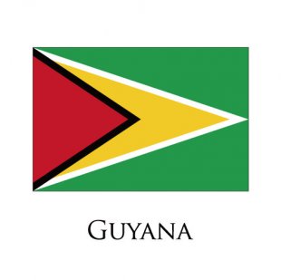 Guyana flag logo Print Decal