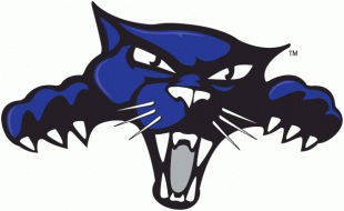 High Point Panthers 2004-Pres Alternate Logo Print Decal