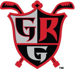 Grand Rapids Griffins 2015-Pres Alternate Logo Iron On Transfer