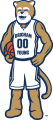 Brigham Young Cougars 2015-Pres Mascot Logo Print Decal