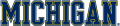 Michigan Wolverines 1996-Pres Wordmark Logo 04 Print Decal