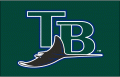 Tampa Bay Rays 2001-2007 Jersey Logo 02 Print Decal