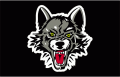 Chicago Wolves 2016-Pres Jersey Logo Print Decal