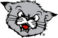 Cincinnati Bearcats 1990-2005 Alternate Logo 02 Print Decal