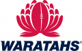 New South Wales Waratahs 2000-Pres Primary Logo Print Decal