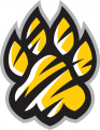 Towson Tigers 2004-Pres Alternate Logo Print Decal