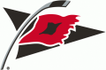 Carolina Hurricanes 1999 00-2017 18 Alternate Logo Print Decal